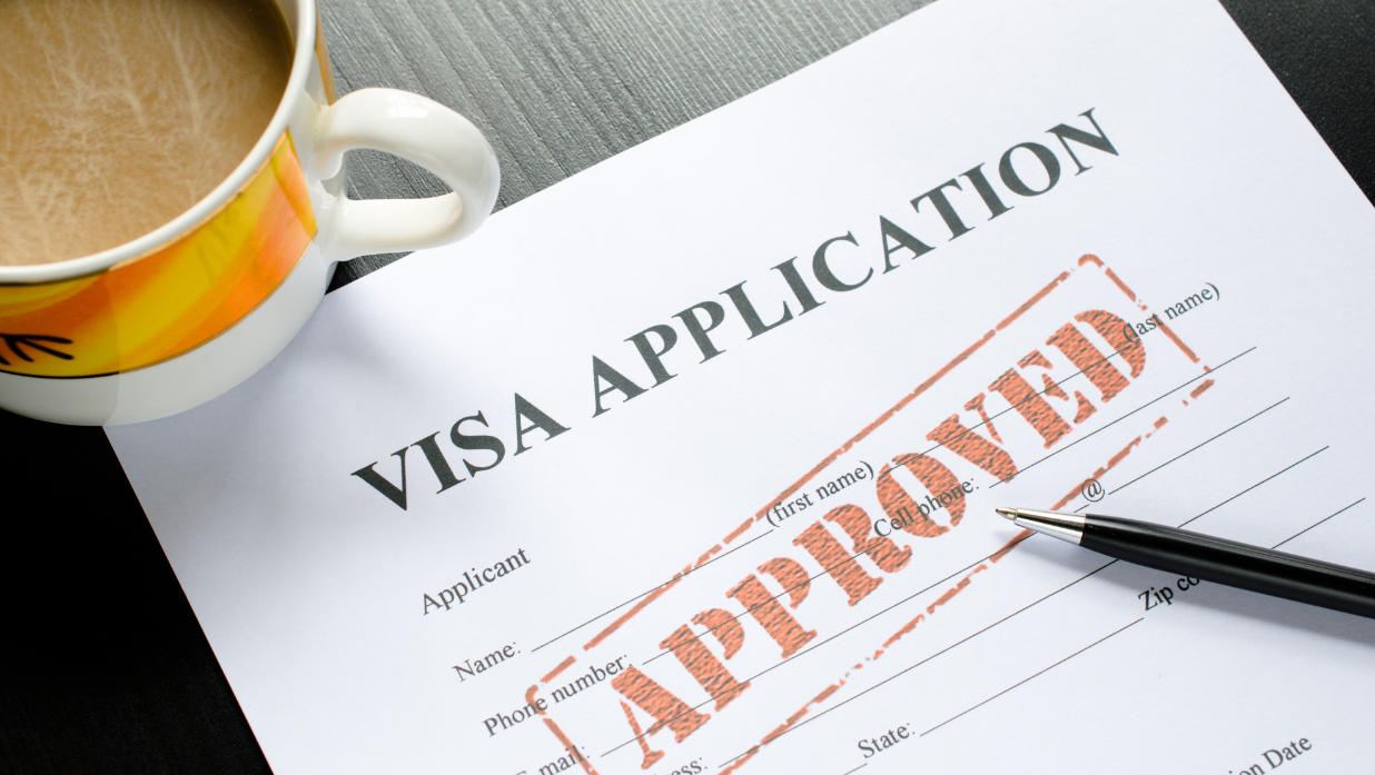 reasons why visa gets rejected